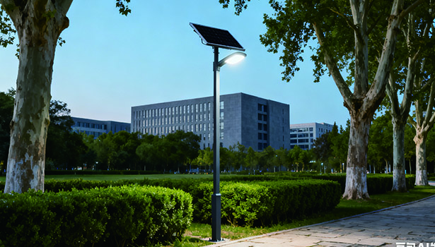 solar street light